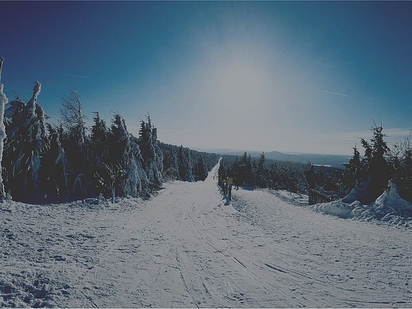 Celina unterwegs auf der Höhen- und Eliteloipe (Fichtelberg / Oberwiesenthal)