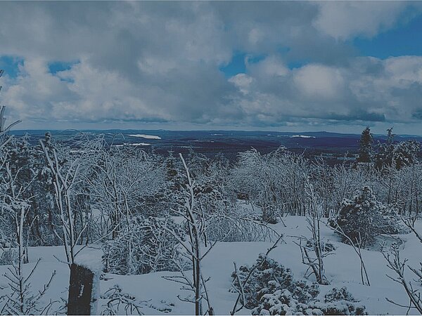 Winter auf der Höhen- und Eliteloipe (Fichtelberg / Oberwiesenthal)