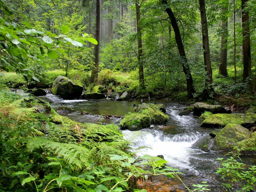 Eines der schönsten Täler des Erzgebirges ist das Tal der Schwarzen Pockau, auch Schwarzwassertal genannt.