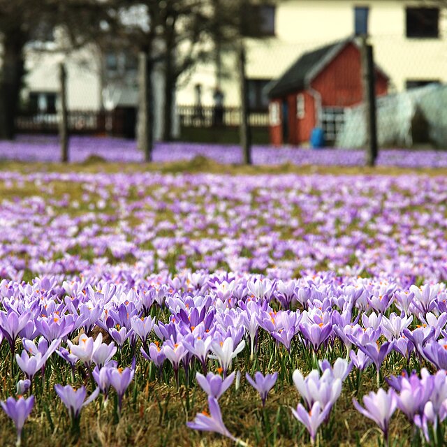 Foto TVE / © Tourismusverband Erzgebirge e.V.