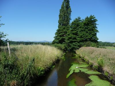 Naturschutzgebiet Lochbusch-Königswiesen. Foto: BÜSCH