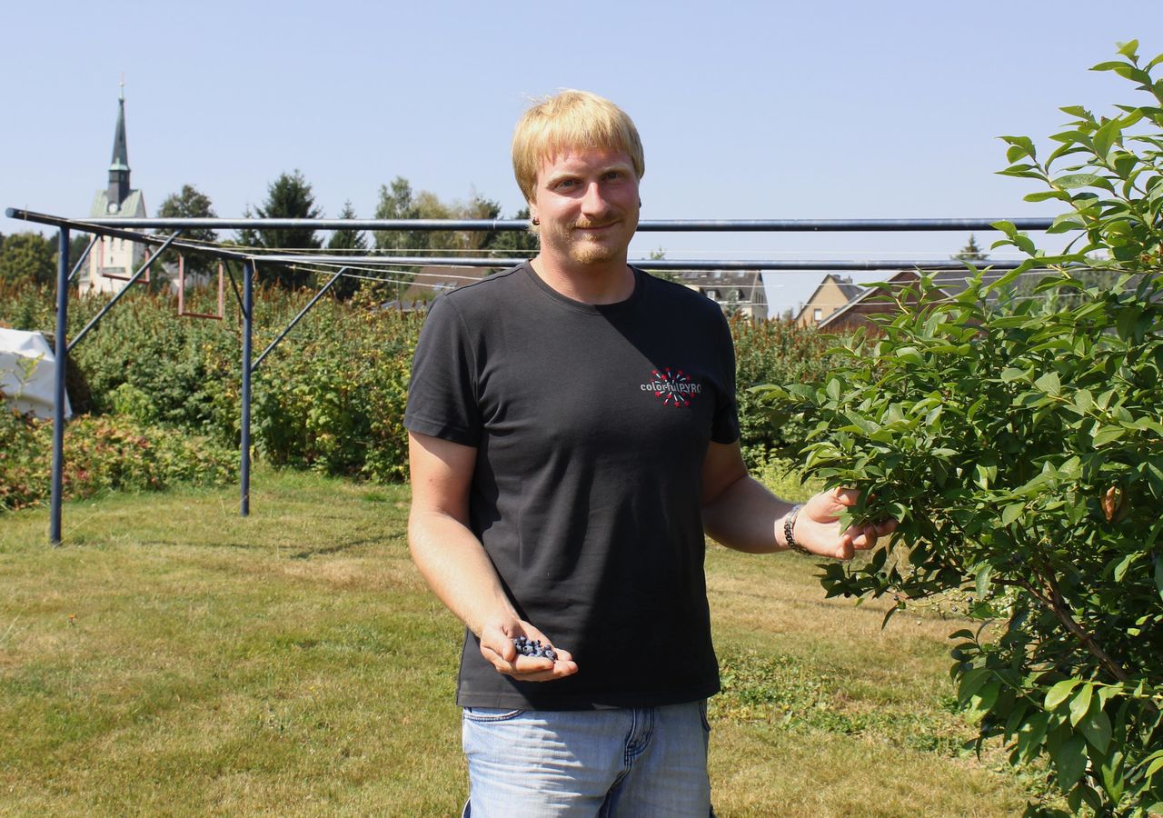 Stephan Boden bei der Ernte der Früchte im heimischen Garten Stephan Boden bei der Ernte der Früchte im heimischen Garten