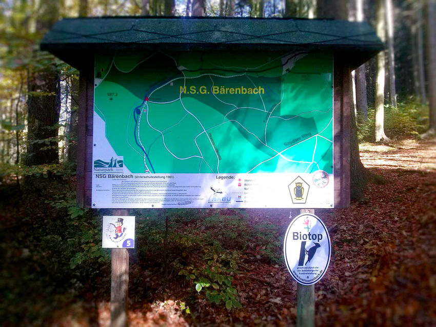 Das Bärenbachtal ist ein Naturschutzgebiet bei Olbernhau, das sich durch eine außergewöhnliche Flora und Fauna auszeichnet.