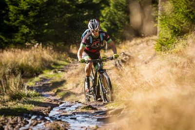 Mountainbiken auf dem Stoneman - Miriquidi (Foto :Tourismusverband Erzgebirge e.V. / studio2media)