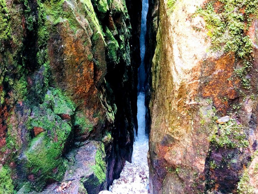 Am über 1.000 Meter hohen tschechischen Plattenberg (Blatenský vrch) zeigt die Wolfspinge, wie die Natur Lebensraum zurück erobert und der Bergbau die Landschaft des Erzgebirges formte.