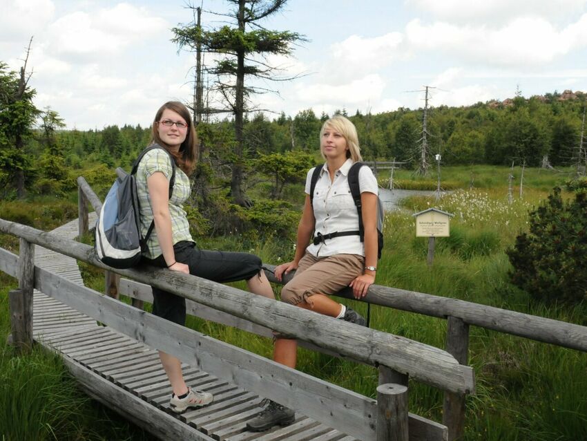 In Sachsen gibt es zahlreiche Moorlandschaften, die meisten davon im Erzgebirge. Eines davon ist das Georgenfelder Hochmoor in der Nähe von Altenberg im Osterzgebirge, das zu den ältesten Naturschutzgebieten Sachsens zählt.