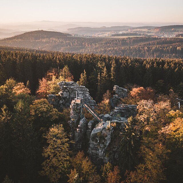 Die Greifensteine im Erzgebirgswald / © Patrick Eichler
