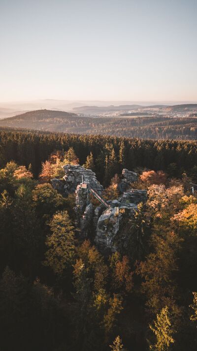 Die Greifensteine im Erzgebirgswald