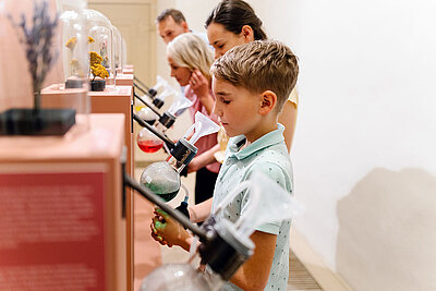 Zahlreiche interaktive Elemente, wie die Riechstation, lassen Besucher die Ausstellung mit allen Sinnen erleben.