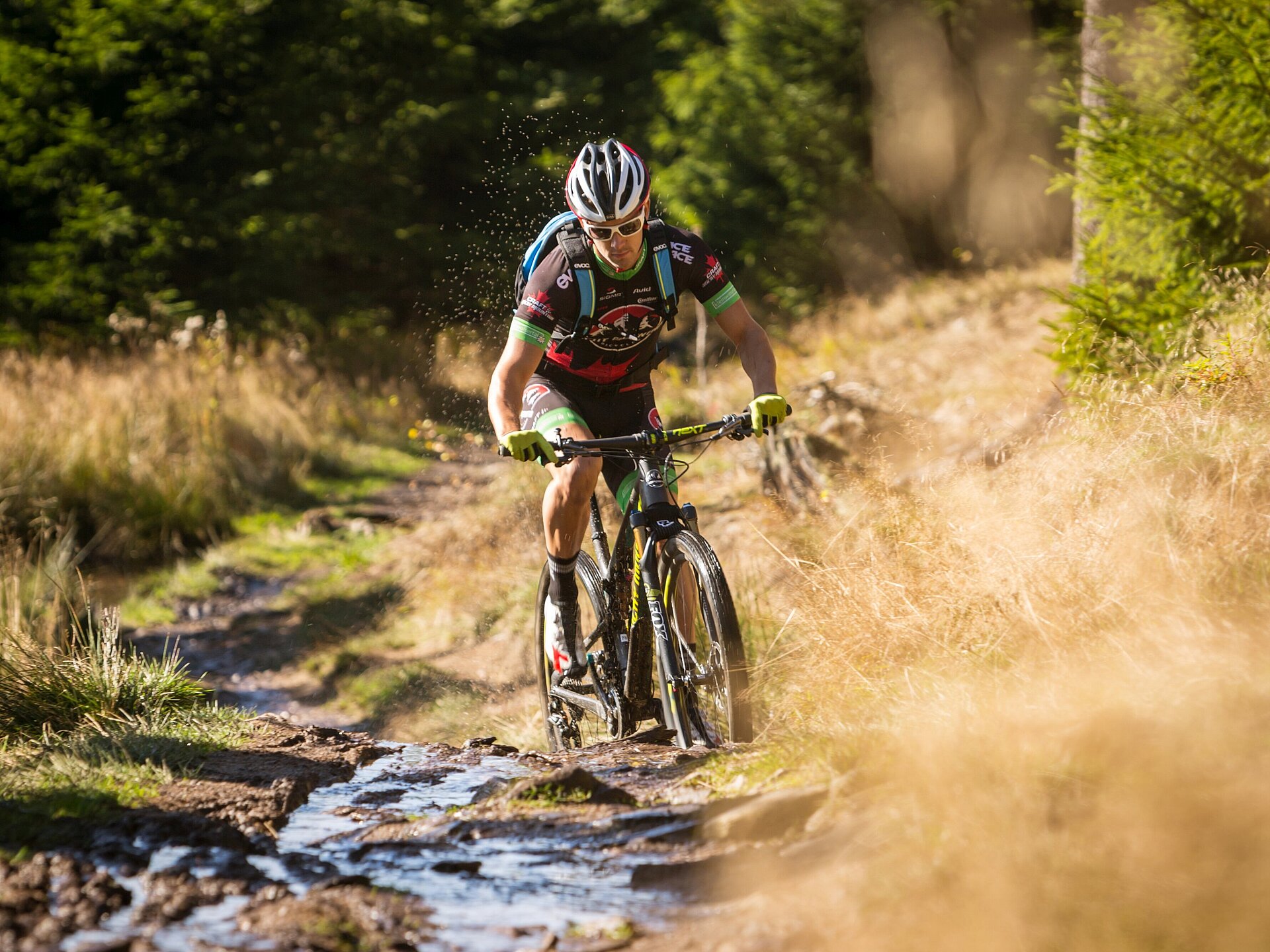 Ob zu Fuß, auf zwei Rädern oder Skiern – im Erzgebirge bewegt man sich. Die abwechslungsreiche Landschaft bietet ideale Voraussetzungen für Outdoor-Sport aller Art.