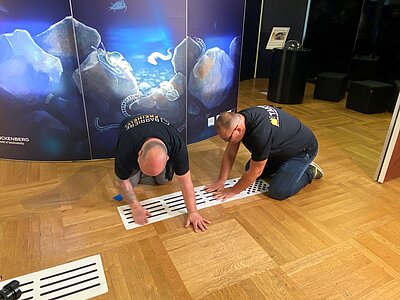 Verlegung TAKTILo durch das Team der BARRIEREFREIHEIT GMBH im Senckenberg Museum.